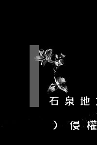 石泉地方政策對土地林地流轉(zhuǎn)侵權(quán)行為有哪些規(guī)定