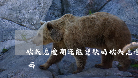 砍头息逾期还能贷款吗(砍头息逾期还能贷款吗)