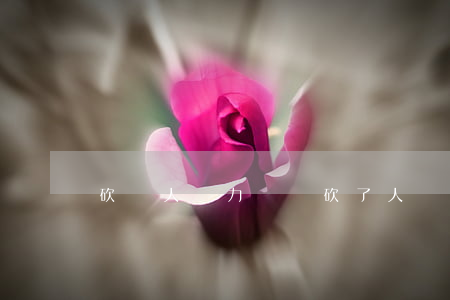 砍殘人無力償還(砍了人沒錢賠怎么辦)