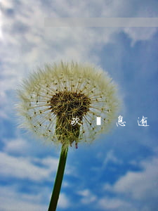 砍頭息逾期要支付逾期費