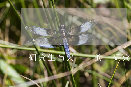 研究生有欠網貸的嗎(研究生能網貸嗎)