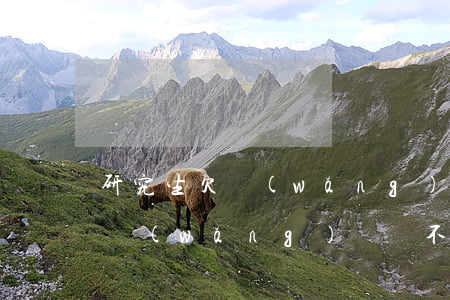 研究生欠網(wǎng)貸還不上(研究生欠網(wǎng)貸還不上)