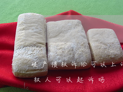 破产债权诉讼可以上诉吗(破产申请受理后,债权人可以起诉吗)