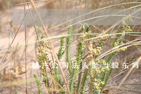 破产公司法人能当股东吗