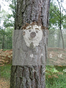 破产受理前产生的加倍部分债务利息是否被认定为破产债权？