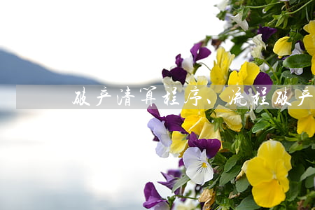 破产清算程序、流程破产清算协议