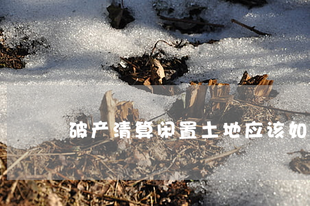破产清算闲置土地应该如何处理
