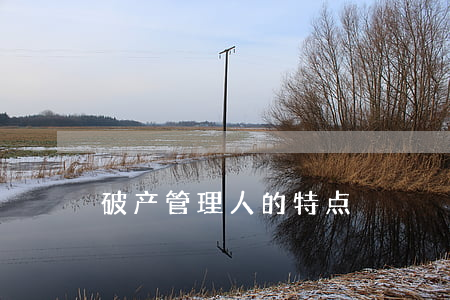 破产管理人的特点