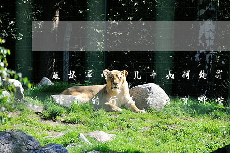破坏军婚判几年,如何处罚破坏军婚罪（破坏军婚罪的行为方式有哪些）