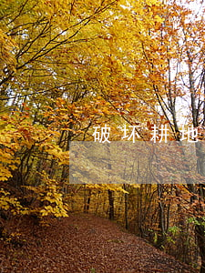 破坏耕地罪的立案标准