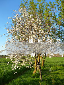 破壞公共財物罪找什么律師(故意毀壞公共財產(chǎn)罪)