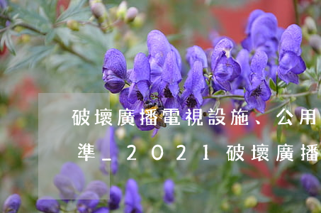 破壞廣播電視設施、公用電信設施罪立案標準_2021破壞廣播電視設施、公用電信設施罪量刑標準和認定構成