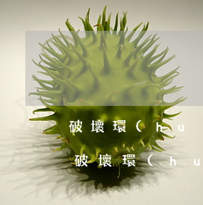 破壞環(huán)境公民可以提前訴訟嗎(破壞環(huán)境公民可以提前訴訟嗎)