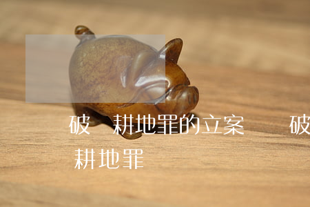 破壞耕地罪的立案標準(破壞農(nóng)耕地罪)