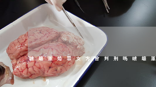 破壞軍婚罪女方會判刑嗎（破壞軍婚罪的類型）