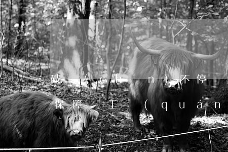 破產(chǎn)不停產(chǎn) 充分保障職工權(quán)益