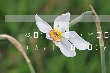 破產(chǎn)中債權(quán)人會(huì)議債權(quán)核查的方法和糾紛