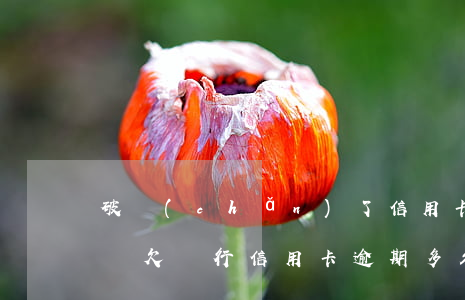 破產(chǎn)了信用卡逾期多久會被起訴(欠銀行信用卡逾期多久會被起訴)