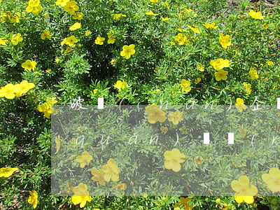 破產(chǎn)企業(yè)職工債權(quán)確認(rèn)