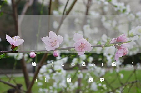 破產(chǎn)企業(yè)職工醫(yī)療保險可中斷嗎