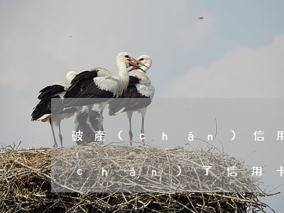 破產(chǎn)信用卡無力償還-破產(chǎn)了信用卡這些錢還不了怎么辦