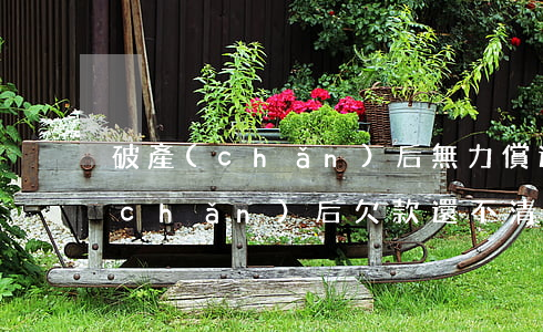 破產(chǎn)后無力償還信用卡(破產(chǎn)后欠款還不清怎么辦)