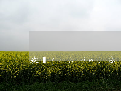 破產(chǎn)法