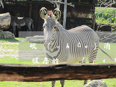 破產(chǎn)清償和破產(chǎn)程序的終結(jié)