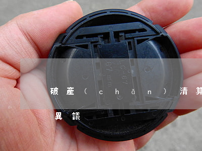破產(chǎn)清算中的執(zhí)行異議