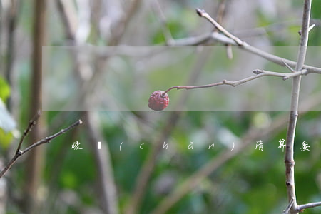 破產(chǎn)清算委托代理合同范本