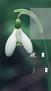 破產(chǎn)清算怎么申請(qǐng)債權(quán)