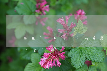 破產(chǎn)清算是否可以強(qiáng)裁