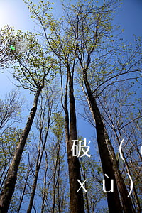 破產(chǎn)清算期間公司能否繼續(xù)經(jīng)營