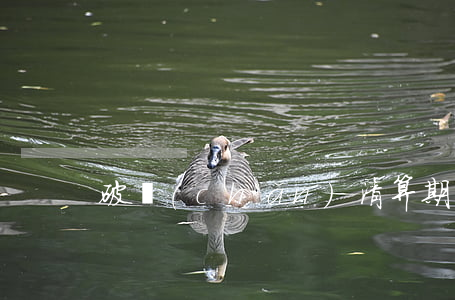 破產(chǎn)清算期間股份能轉讓嗎
