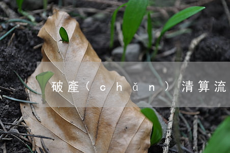 破產(chǎn)清算流程
