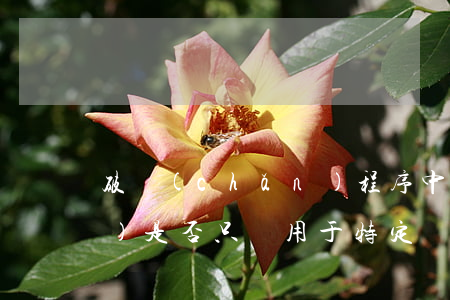 破產(chǎn)程序中別除權(quán)是否只適用于特定財產(chǎn)的清償