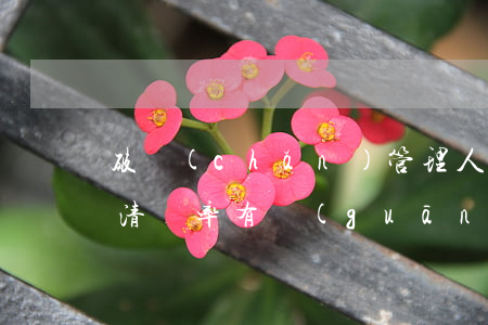 破產(chǎn)管理人報(bào)酬與清償率有關(guān)嗎