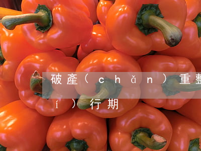 破產(chǎn)重整一般幾年的執(zhí)行期
