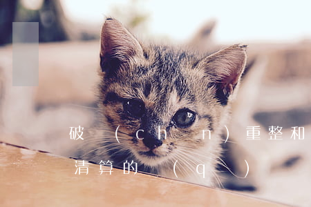 破產(chǎn)重整和破產(chǎn)清算的區(qū)別