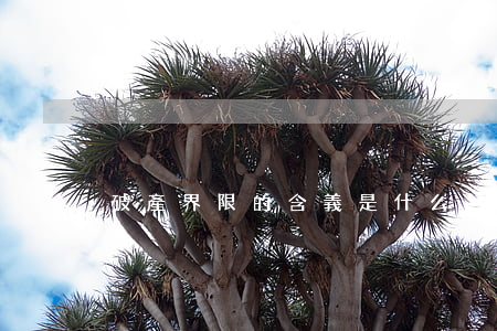 破產界限的含義是什么