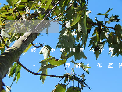 破產重整期間的企業(yè)控制權芻議----兼評《破產法》第73條