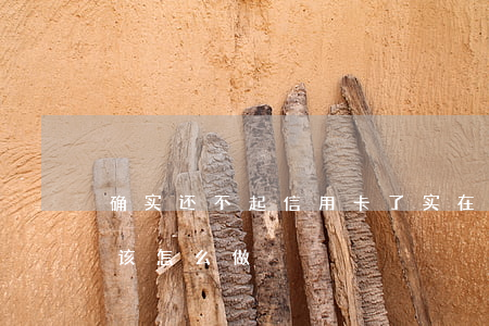 确实还不起信用卡了(实在还不起信用卡了,应该怎么做)
