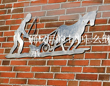 确权后的土地怎么继承(确权后的土地怎么继承)