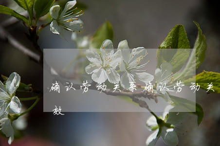 确认劳动关系(确认劳动关系是否适用仲裁时效)