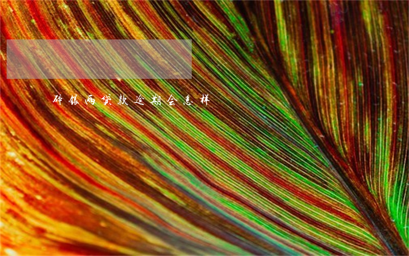 碎银两贷款逾期会怎样