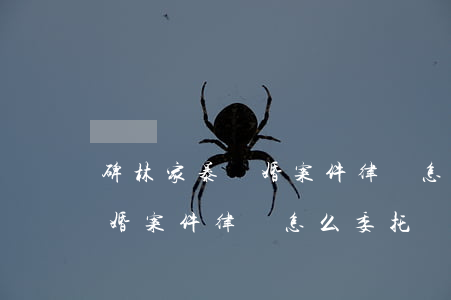 碑林家暴離婚案件律師怎么委托(碑林家暴離婚案件律師怎么委托)