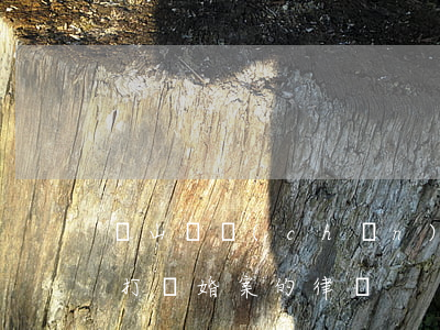 碭山遺產(chǎn)糾紛好律師(碭山專門打離婚案的律師)
