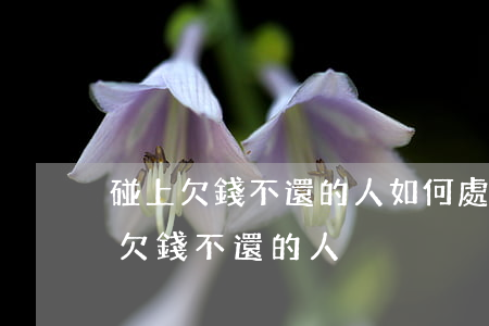 碰上欠錢不還的人如何處理(有什么辦法對付欠錢不還的人)
