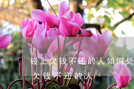 碰上欠钱不还的人如何处理(有什么办法对付欠钱不还的人)