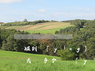 碰到營(yíng)運(yùn)車輛要每天賠多少錢(營(yíng)運(yùn)費(fèi)一定要賠嗎)